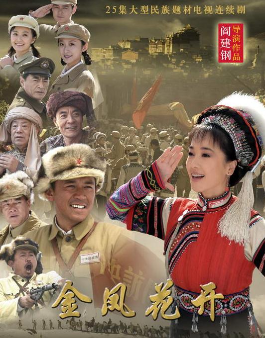 金鳳花開DVD,台灣DVD專賣店-www.rutenmall.com