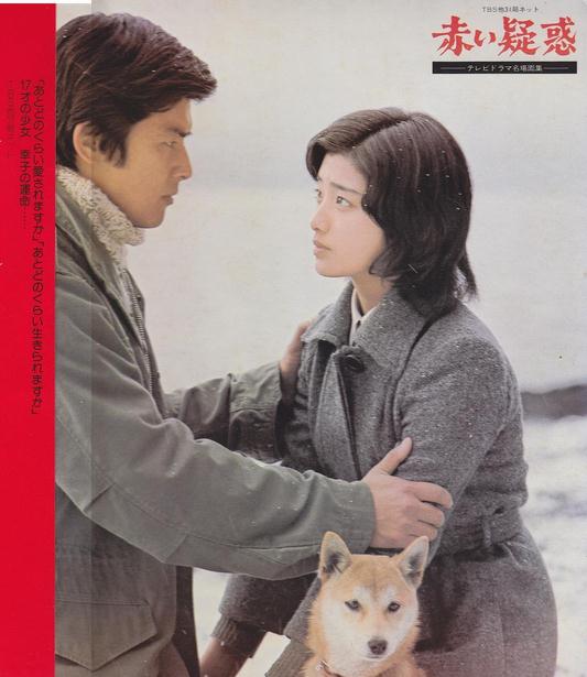 血疑DVD,赤的疑惑DVD,赤色疑惑DVD,台灣DVD專賣店-www.rutenmall.com